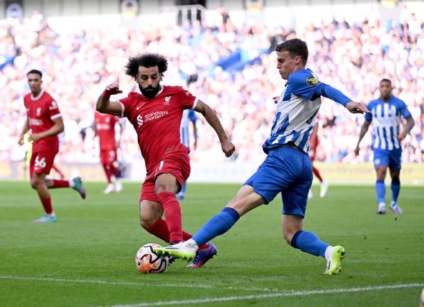 导风格为国 导风格为国